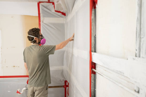 Best Emergency Mold Remediation  in Shandon, CA