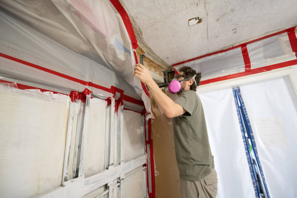 Best Biohazard Mold Removal  in Shandon, CA