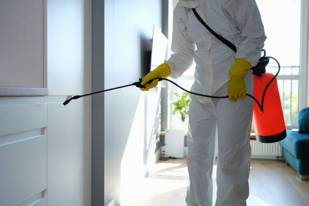 Best Forensic Mold Investigation  in Shandon, CA