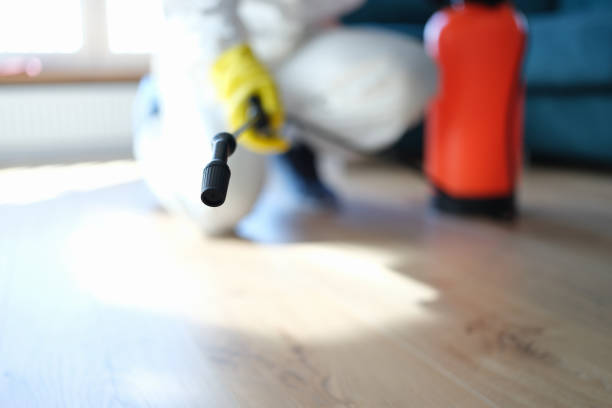 Best Industrial Mold Remediation  in Shandon, CA