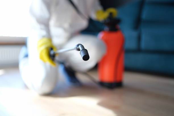 Best Mold Removal for HVAC Installations  in Shandon, CA